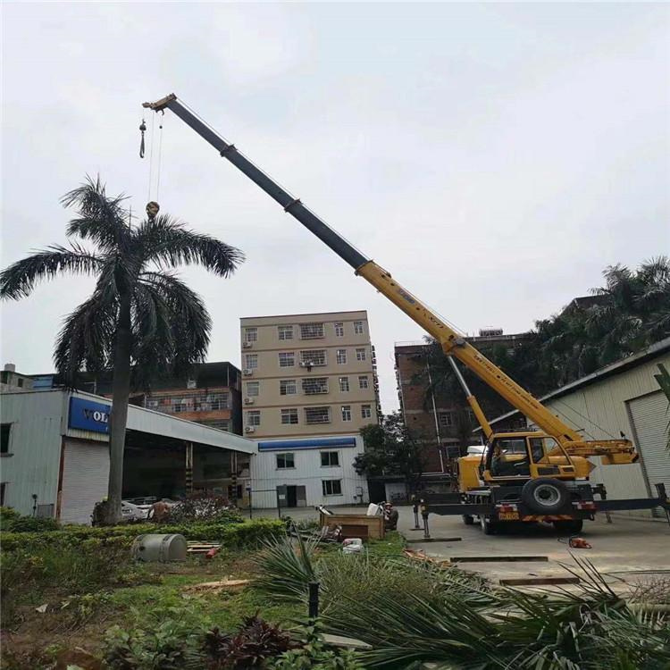 宛城汽车吊出租多少钱？全面解析与市场行情